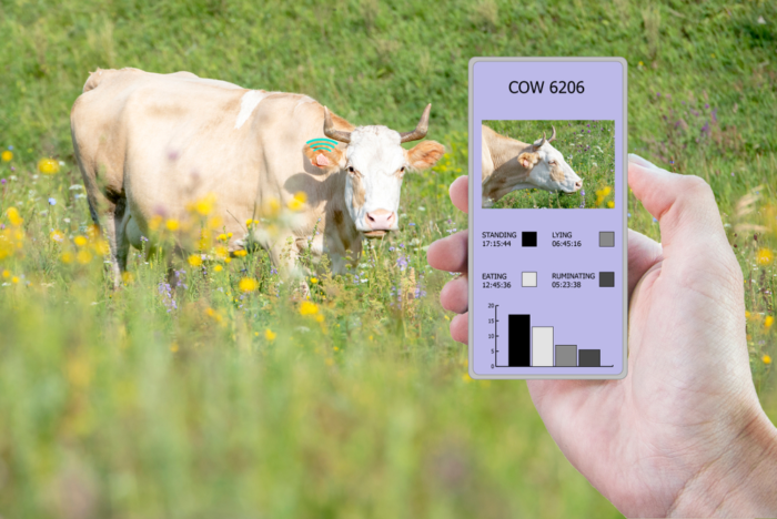 IoT and Precision Livestock Farming (PLF)