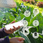 Who is Responsible for Digitalizing Agriculture Extension?