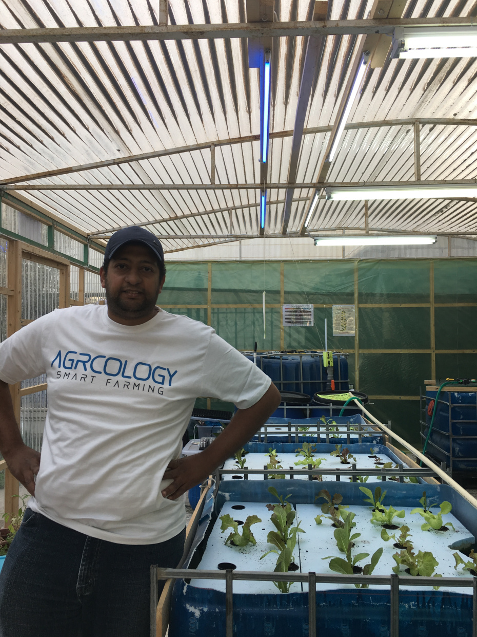 Aquaponics System in Smart GreenHouse