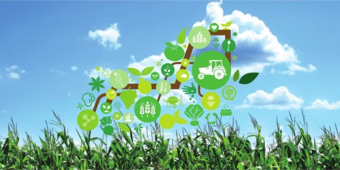 Five Main Technologies Create the Future of Agriculture