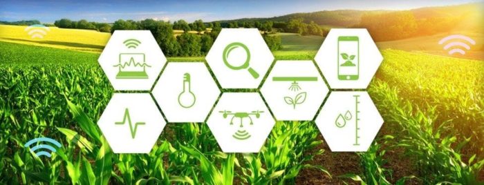 Agriculture 4.0 – The Dream of Green World